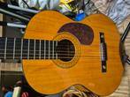 Seahan akoestisch gitaar, Ophalen of Verzenden, Gebruikt