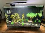 SuperFish aquarium Quadro 70 Pro zwart 67 L compleet te koop, Dieren en Toebehoren, Vissen | Aquaria en Toebehoren, Ophalen, Gebruikt