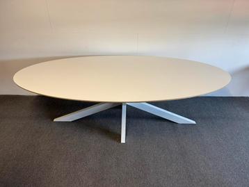 HPL eettafel ovaal wit 250x120 beschikbaar voor biedingen