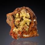 Adamiet op Limoniet – Ojuela Mine, Mapimí (Mexico), Ophalen of Verzenden, Mineraal