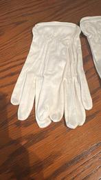 Nieuw witte handschoenen, Ophalen of Verzenden, Nieuw, Handschoenen
