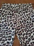 Erg mooie set! Broek plus blouse. Maat 46., Kleding | Dames, Grote Maten, Ophalen of Verzenden, Zo goed als nieuw, Blouse of Tuniek