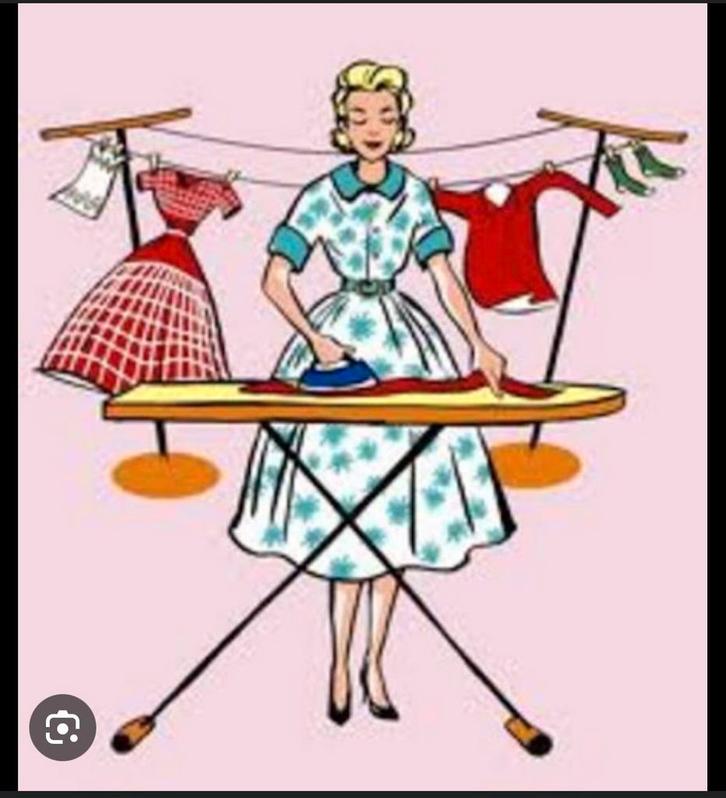 Schoonmaakster gezocht DEN DOLDER met spoed!!, Vacatures, Vacatures | Schoonmaak en Facilitaire diensten, Overige niveaus, Starter