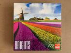 Puzzel 300 stukjes, Ophalen of Verzenden, Minder dan 500 stukjes, Zo goed als nieuw, Legpuzzel