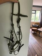Nieuw! Halsterhoofdstel, Dieren en Toebehoren, Paarden en Pony's | Hoofdstellen en Tuigage, Ophalen of Verzenden, Nieuw