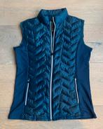 Backtee golf bodywarmer - maat L, Ophalen of Verzenden, Zo goed als nieuw, Blauw