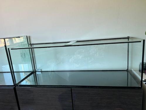 Hamsterkooi / terrarium, Dieren en Toebehoren, Knaagdieren en Konijnen | Hokken en Kooien, Zo goed als nieuw, Minder dan 60 cm