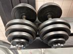 Dumbells 20kg, Sport en Fitness, Ophalen, Gebruikt, Armen, Dumbbell