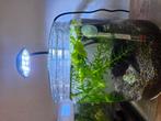 7 nieuwe aquariumlampen USB. Verstelbare kleur, Ophalen of Verzenden, Nieuw, Verlichting of Verwarming