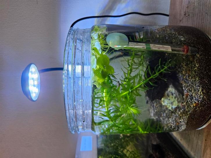 7 nieuwe aquariumlampen USB. Verstelbare kleur, Dieren en Toebehoren, Vissen | Aquaria en Toebehoren, Nieuw, Verlichting of Verwarming