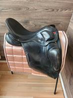 Albion revelation, paura en hulsebos cc, Ophalen of Verzenden, Zo goed als nieuw, Dressuur