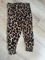 Coolcat harembroek capribroek 158 164 panterprint kort broek, Kinderen en Baby's, Meisje, Broek, Zo goed als nieuw, Coolcat