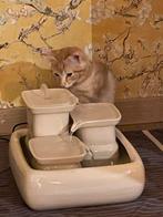 Waterfontein kat, Dieren en Toebehoren, Kattenvoerbakken en Drinkbakken, Ophalen, Zo goed als nieuw