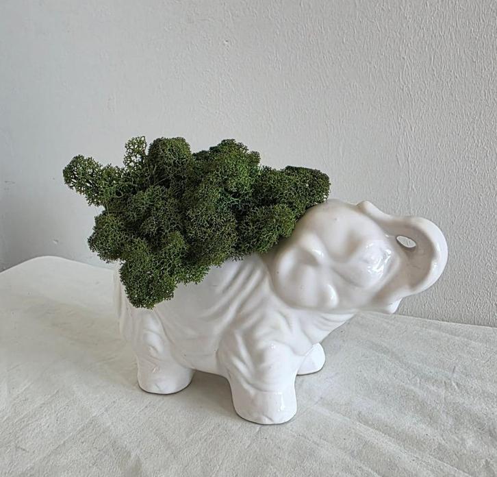 Porselein, IJslands mos, Huis en Inrichting, Woonaccessoires | Vazen, Nieuw, Wit, Minder dan 50 cm, Aardewerk of Porselein, Ophalen of Verzenden