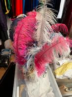 Pietenveren in diverse  kleuren per stuk te koop, Ophalen of Verzenden, Gebruikt, Feestartikel, Kerst of Sinterklaas