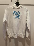 CP Company hoody, Kinderen en Baby's, Ophalen of Verzenden, Zo goed als nieuw, Trui of Vest