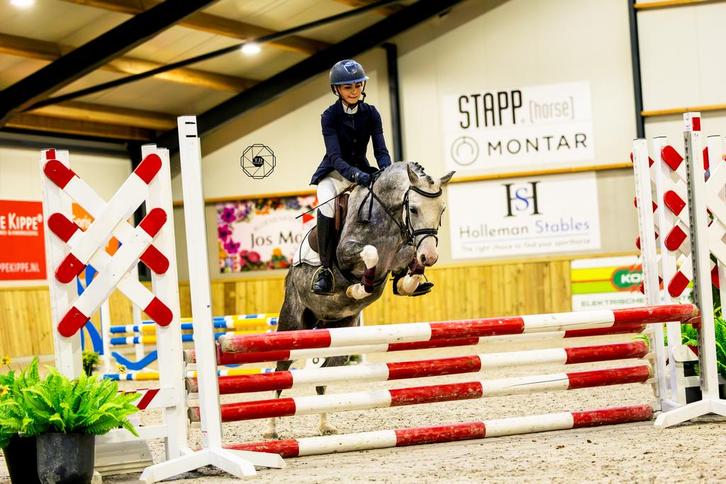 Waanzinnige Prijzenpakker, Dieren en Toebehoren, Pony's, Ruin