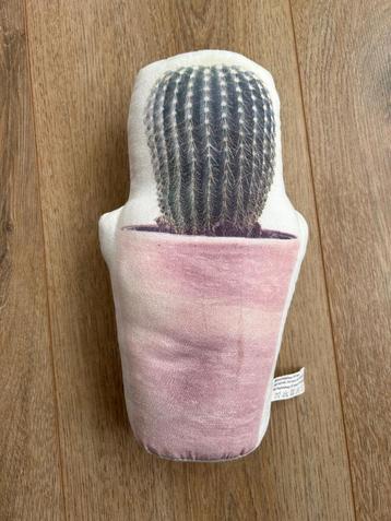  Cactus deurstopper  beschikbaar voor biedingen
