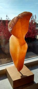 Seleniet oranje 57x25, Ophalen of Verzenden