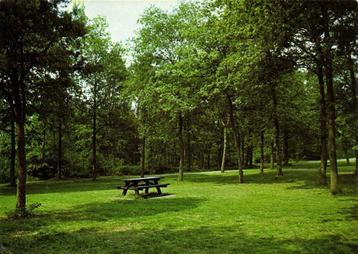 Schoonoord, Picknickplaats - 1990 gelopen beschikbaar voor biedingen