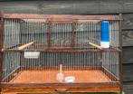 Zangkooi, Dieren en Toebehoren, Vogels | Hokken en Kooien, Ophalen of Verzenden, Zo goed als nieuw, Vogelkooi