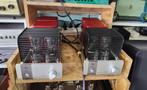 Triode Corporation TRV-M300SE monoblok buizenversterkers, Audio, Tv en Foto, Buizenversterkers, Ophalen, Versterker
