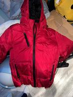 Winterjas, Maat 48/50 (M), Tommy Hilfiger, Nieuw, Ophalen of Verzenden