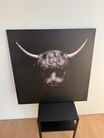 Zwart canvas schilderij bison, Ophalen, Zo goed als nieuw, Schilderij, 75 cm of meer