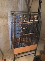 Een  Vogelkooi, Ophalen, Zo goed als nieuw, Metaal, Vogelkooi