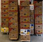 Grote partij boeken - ca. 75 dozen, Ophalen, Gelezen, Verschillende onderwerpen