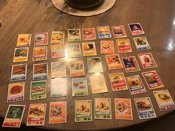 Samen lekker cheffen jumbo verzamelkaartjes beschikbaar voor biedingen