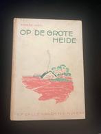 Op de grote heide - Anne de vries (oud boek), Antiek en Kunst, Ophalen of Verzenden, Anne de Vries