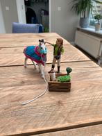 Holsteiner veulen, Ophalen of Verzenden, Zo goed als nieuw