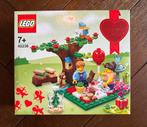 Lego NIEUW Valentine Picnic 40236, Kinderen en Baby's, Speelgoed | Duplo en Lego, Ophalen of Verzenden, Zo goed als nieuw