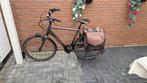 Koga miyata e bike (heren), Fietsen en Brommers, Fietsen | Tandems, Zo goed als nieuw, 55 cm of meer, Meer dan 20 versnellingen