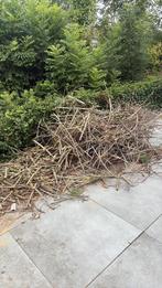Gratis op te halen haardhout, Tuin en Terras, Haardhout, Minder dan 3 m³, Ophalen, Overige houtsoorten, Blokken