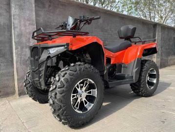 DW ATV 300cc Quad beschikbaar voor biedingen