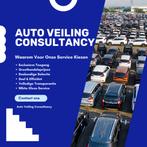 Auto Veiling Consultancy