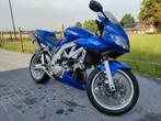 Mooie Suzuki SV1000, LED Verlichting, 2 cilinders, Meer dan 35 kW, 996 cc