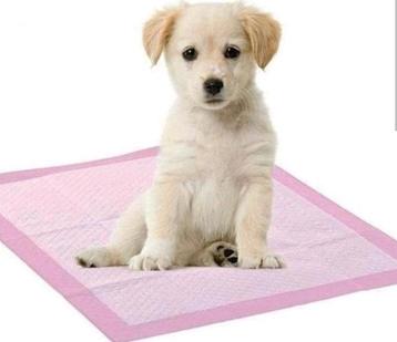 Doos met 40 trainingspads XL voor puppy's beschikbaar voor biedingen