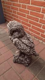 uil van beton super mooi, Ophalen, Nieuw, Beton, Dierenbeeld
