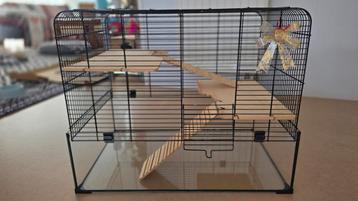 Flamino Vitru 2 hamsterkooi beschikbaar voor biedingen