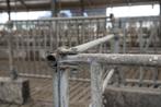 Vang en behandelbox voor koeien 2 stuks, Dieren en Toebehoren, Stalling
