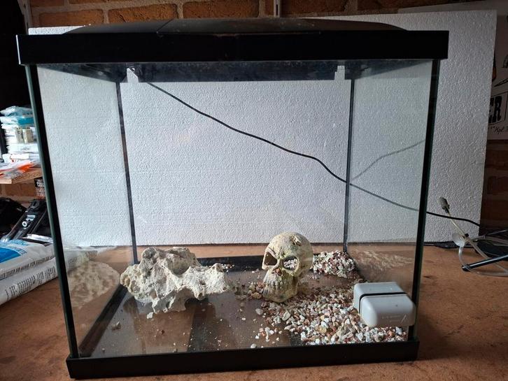 Aquarium met toebehoren, Dieren en Toebehoren, Vissen | Aquaria en Toebehoren, Gebruikt, Leeg aquarium, Ophalen