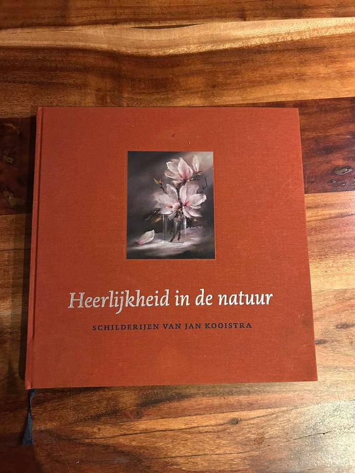 prachtig boek, schilderijen van kunstschilder Jan Kooistra !, Boeken, Kunst en Cultuur | Beeldend, Nieuw, Schilder- en Tekenkunst