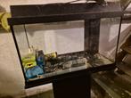 Juwel 60 liter, Ophalen, Gebruikt, Leeg aquarium