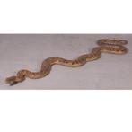 Python – Slang beeld Lengte 253 cm, Verzamelen, Dierenverzamelingen, Ophalen, Nieuw, Overige typen