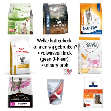 Gezocht: kattenbrokken voor volwassen katten