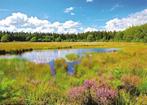 Grolloo- -Blanke Veen., Verzenden, 1980 tot heden, Ongelopen, Drenthe
