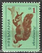 Bulgarije 1963 - Yvert 1176 - Wilde Dieren - Eekhoorn (PF), Postzegels en Munten, Bulgarije, Ophalen, Postfris